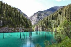 Suyun altından yükselen ağaçlar... Kayındı Gölü, Kazakistan